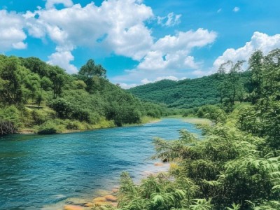 河源阜宁酒店预订服务，让您的旅行更加愉快的指南